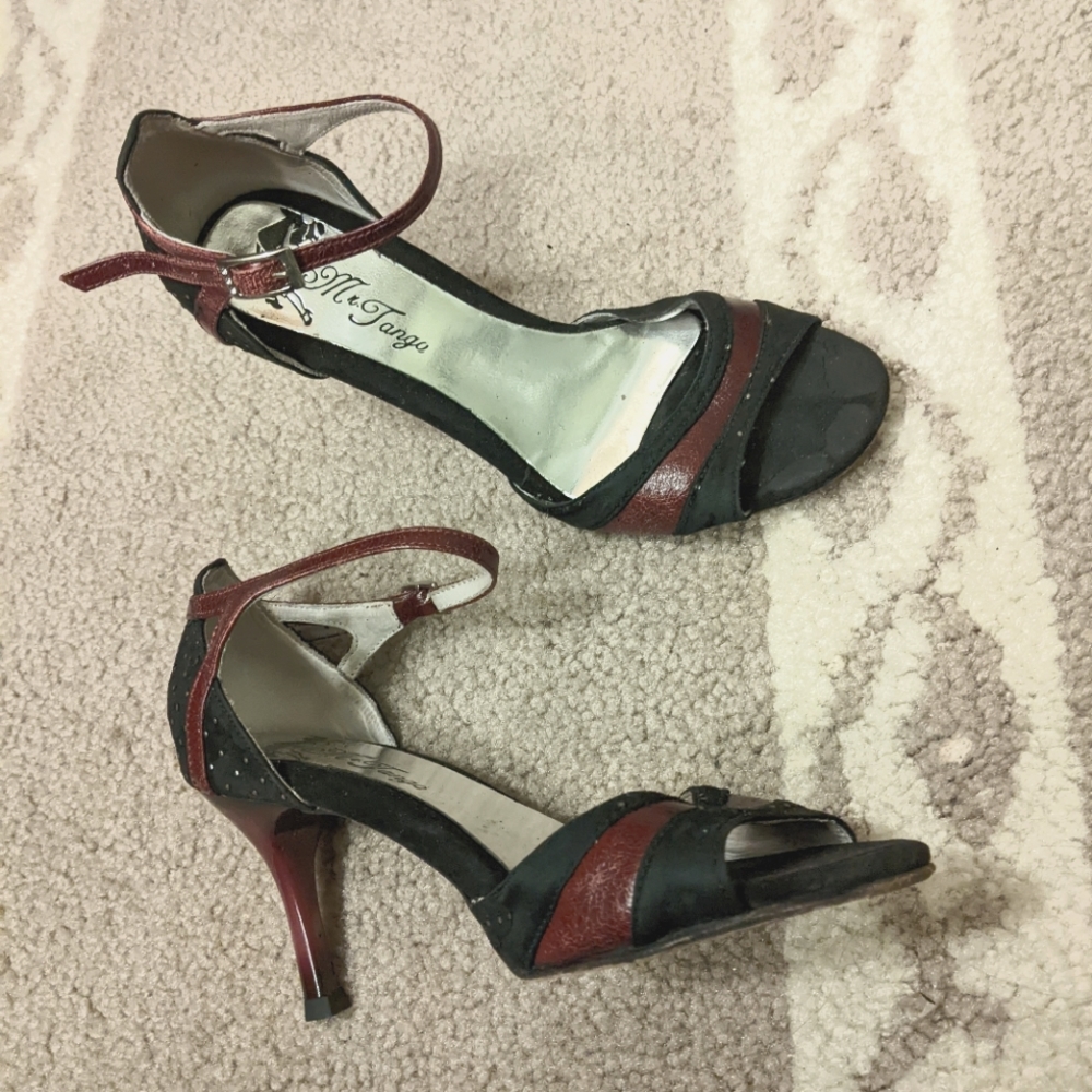 Mr Tango Shoes / Argentine Tango Heels